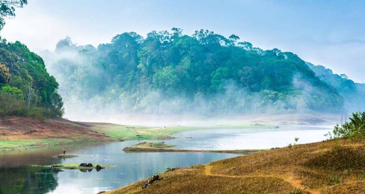 Misty morning view of a forested hillside and calm riverbank with light fog hovering over the water.