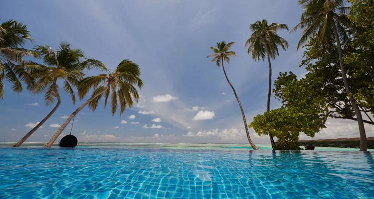 Infinity pool merges with the emerald Indian Ocean while tall palms sway under a blue sky.