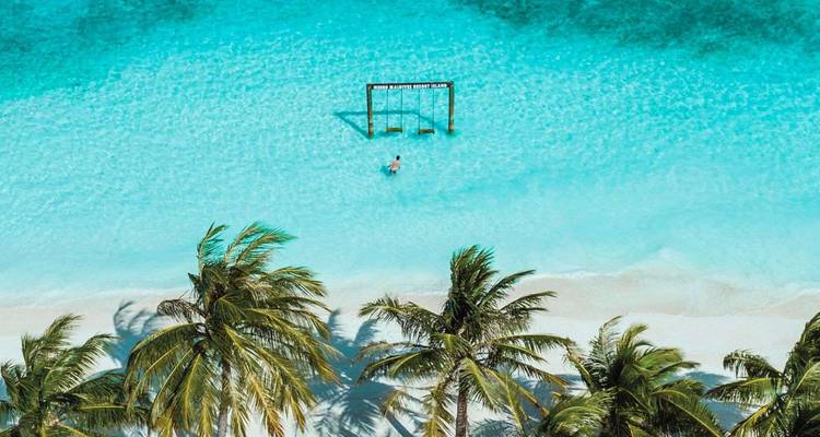Drone view of a lone swimmer beneath a wooden swing in crystal-clear cyan lagoon framed by leaning palms and white sand.