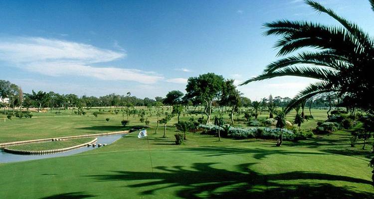 Weelderige groene fairways en waterpartijen van een uitgestrekte golfbaan omlijst door palmbomen