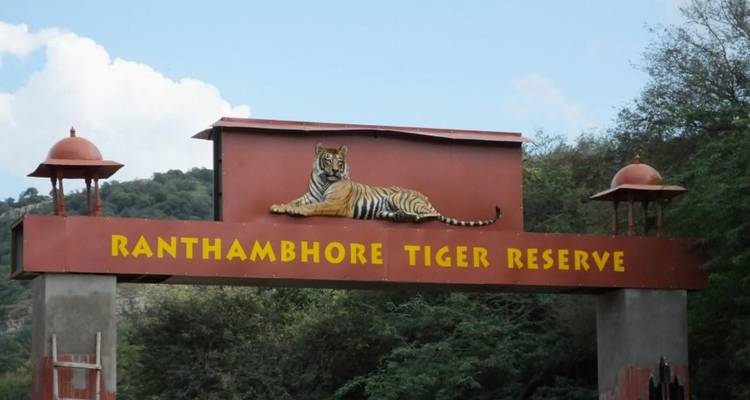 Entrance sign for Ranthambhore Tiger Reserve featuring tiger illustration.