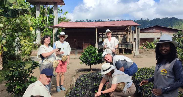 Visiteurs vêtus de ponchos traditionnels plantant des plants de café dans une ferme