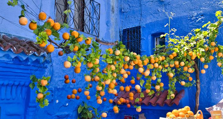 Une rangée d'oranges vives suspendues contre un mur bleu éclatant et un toit de tuiles à Chefchaouen.