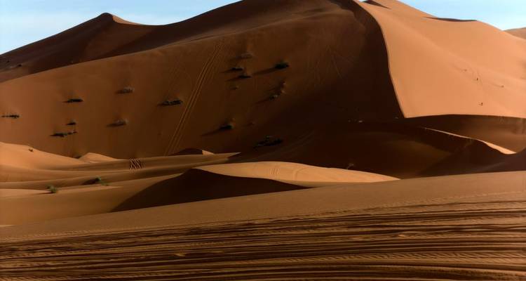 Vue panoramique de hautes dunes de sable sculptées par le vent dans le Sahara avec des ombres douces.