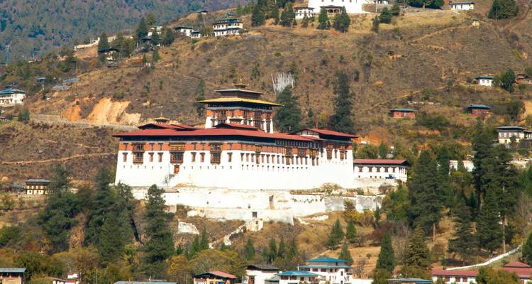 Large hillside dzong overlooking a valley with scattered village houses and dry terrain.