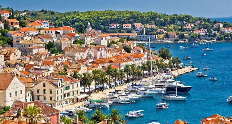 Malerischer Hafen von Hvar, gesäumt von Yachten, Palmen und pastellfarbenen Steinhäusern unter sonnigem Himmel.