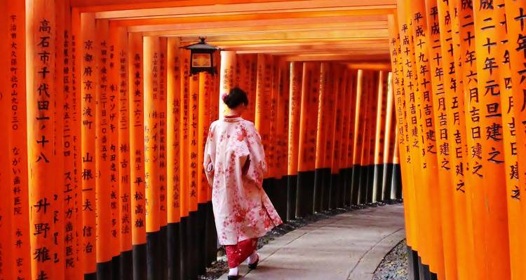 Une femme en kimono fleuri marche à travers les torii vermillon sans fin du sanctuaire Fushimi Inari.