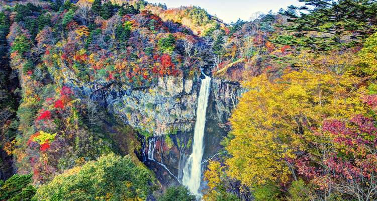 Hoher Wasserfall, der sich durch einen lebendigen Herbstwald in Japan stürzt