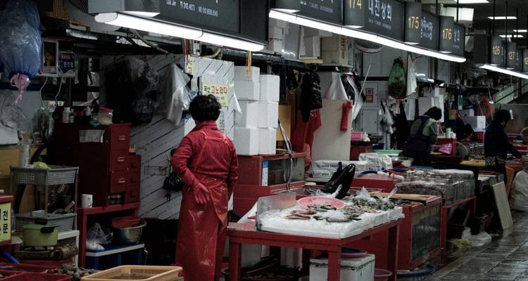 Mercado de pescado interior con poca iluminación donde vendedores con delantales organizan mariscos en mesas rojas.