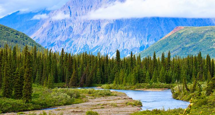 Meandering river flows through dense spruce forest beneath towering granite cliffs shrouded in mist.