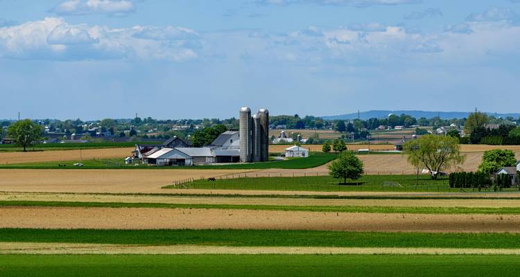 Flickenteppich-ähnliche Felder und ein Milchviehbetrieb mit Silos erstrecken sich über die flache Landschaft unter einem blauen Himmel in der Amish-Region von Pennsylvania.