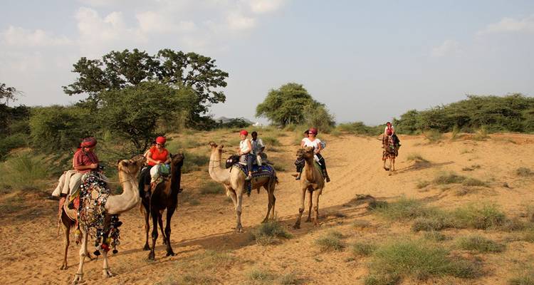 Small caravan of tourists riding camels across sandy desert scrub.