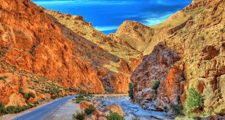 Paredes de cañón de color naranja vívido de la Garganta de Todra flanquean una carretera serpenteante y un arroyo poco profundo bajo un cielo azul brillante