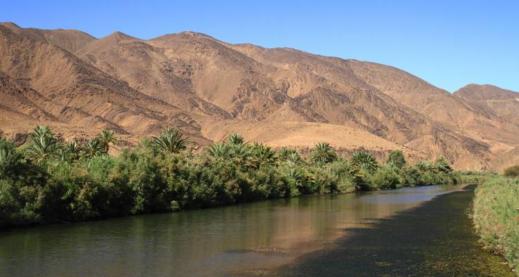 Río verde bordeado de palmeras fluye bajo las áridas montañas del Atlas y el cielo despejado