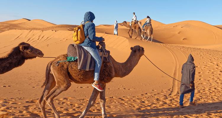 Travelers ride camels led by local guides across orange dunes on a crisp morning