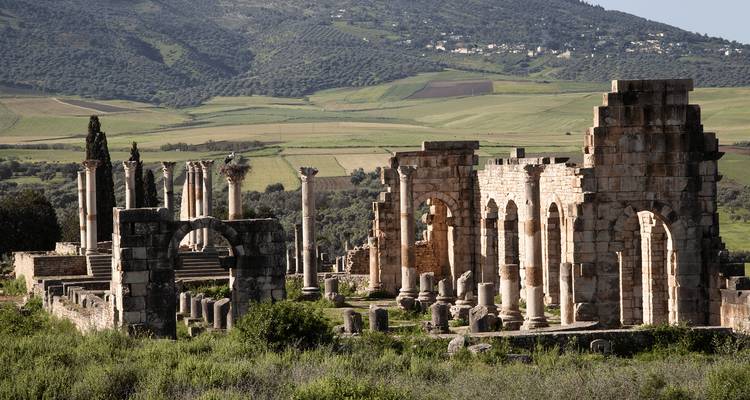 Ancient Roman ruins of Volubilis with columns and arches set amid rolling green countryside