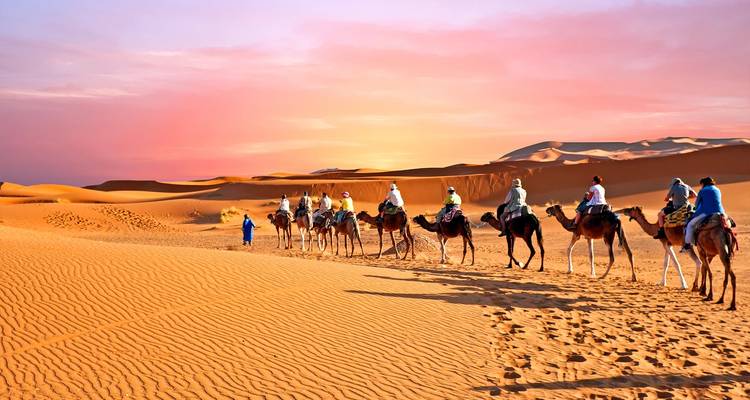 Long caravan of tourists riding camels across glowing orange dunes at colorful sunset sky.