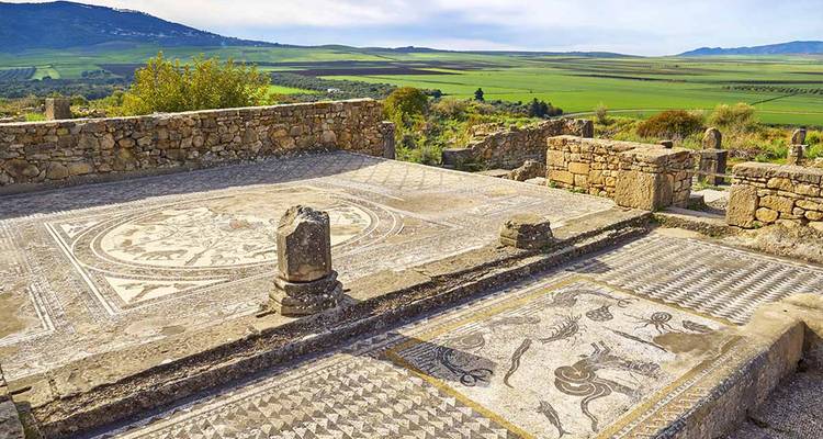 Intricate Roman mosaics and stone columns overlooking rolling green fields at Volubilis ruins.