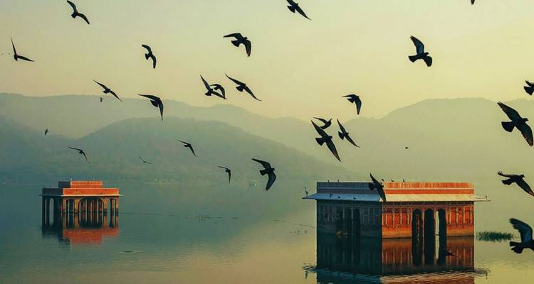 Birds soaring over calm lake waters at sunrise with misty hills in the background.