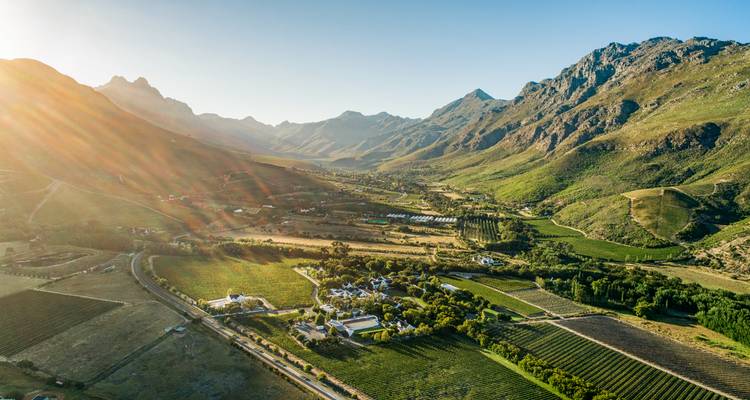Sunlit aerial of fertile valley with vineyards, farm buildings and encircling mountains.