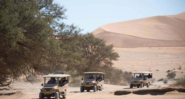 Open safari jeeps drive across orange desert sand beside sparse acacia trees.