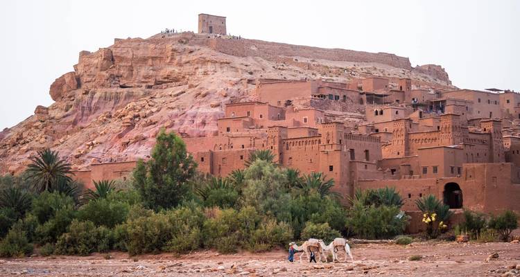 Alte befestigte Siedlung Aït Benhaddou aus rotem Lehm auf einem Hügel erbaut mit grasenden Kamelen darunter.