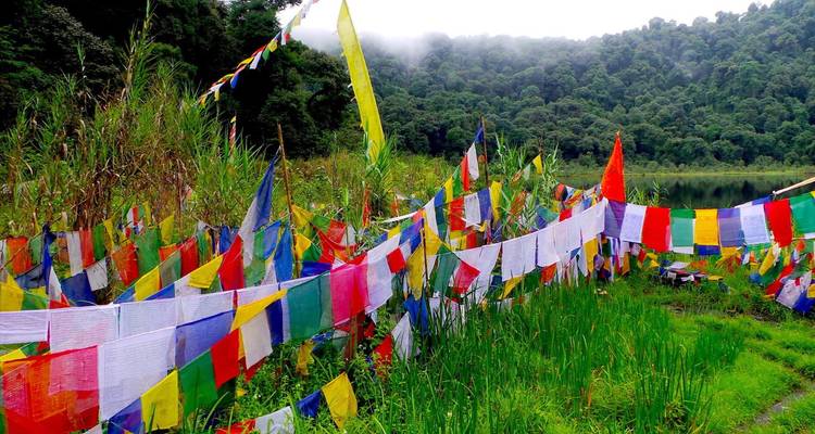 Rows of vibrant multi-colored prayer flags strung along a lush lakeside meadow backed by forest