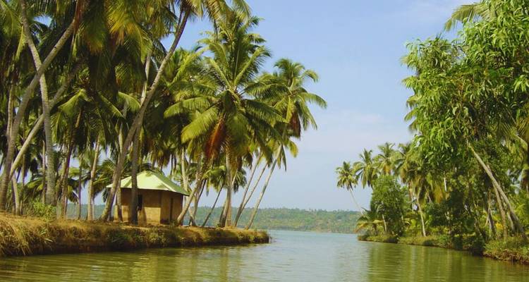 Tropical backwater channel lined with dense palms and a small thatched hut on the bank.