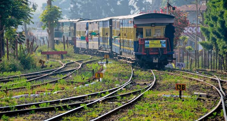 A colorful narrow-gauge train winds along multiple railway tracks through lush greenery.
