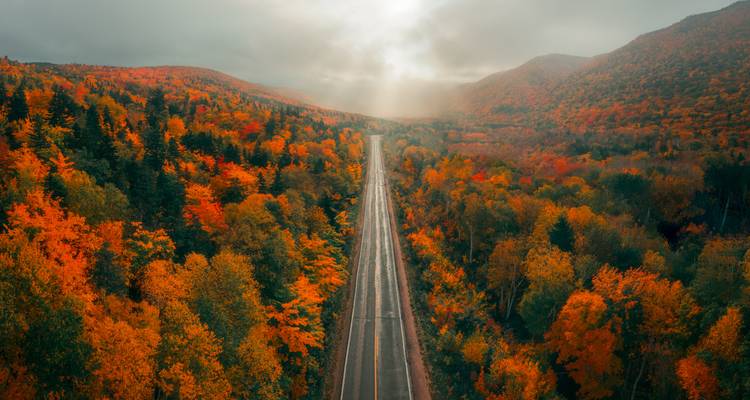 A straight highway cuts through dramatic autumn forests under moody clouds in Nova Scotia.