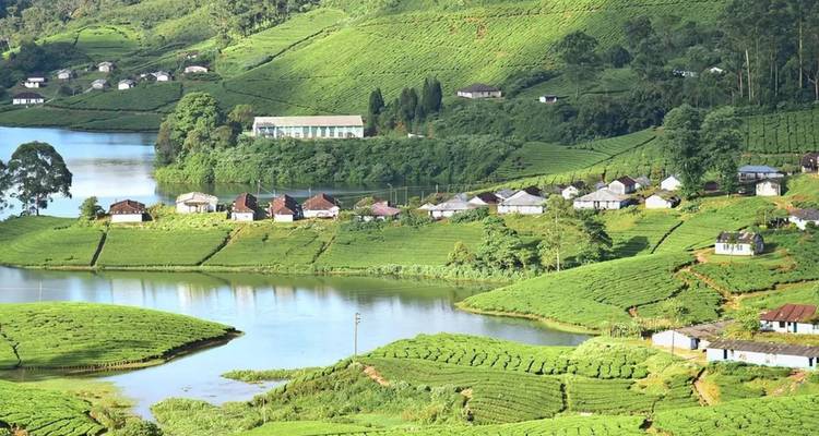 Teeplantagen, kleine Häuser und ein ruhiger See, umrahmt von üppig grünen Hügeln in Munnar.