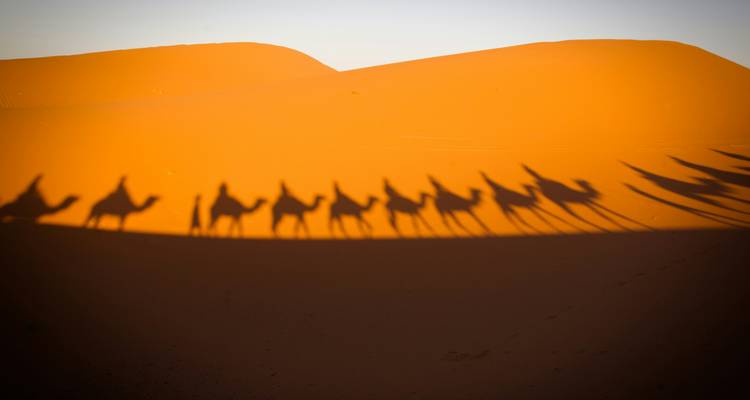 Lange kamelen karavaan die schaduwen werpt op gouden Erg Chebbi duinen bij zonsopgang