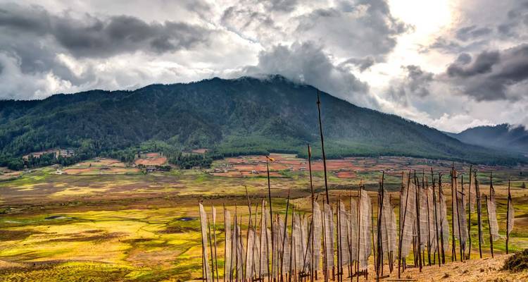 Tall white prayer flags line a windy valley with patchwork fields beneath forested mountains and dramatic clouds.