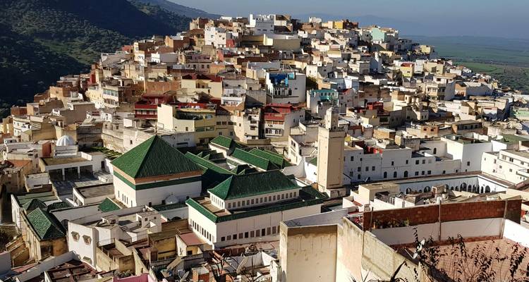 Bergdorpje Moulay Idriss met dicht opeengepakte huisjes en groen betegelde daken omringd door landbouwgrond