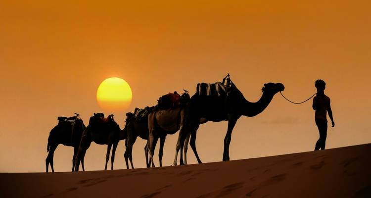 Silhouette of a camel caravan led by a guide against a deep orange desert sunset.