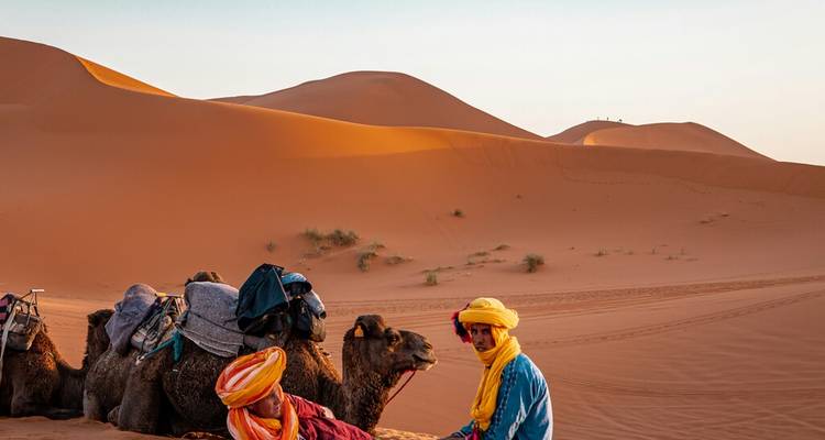 Camel caravan rests on warm dunes while two colourful-clad travellers relax beside them.
