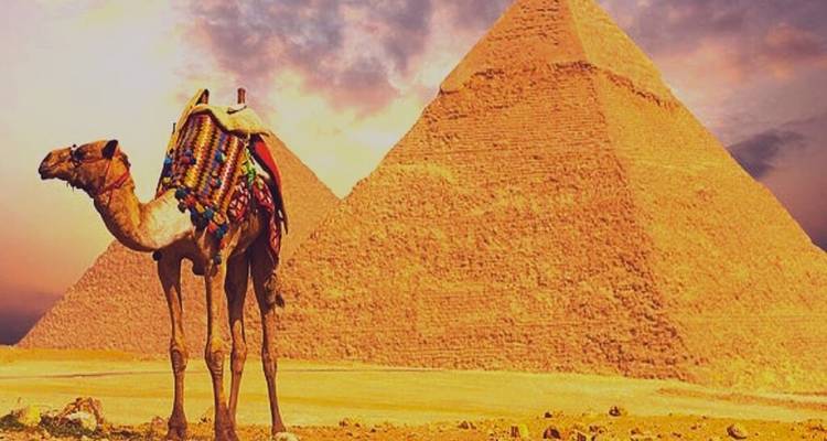 Saddled camel in front of a large sun-lit pyramid against a dramatic sky