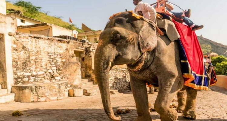 Tourists ride a decorated elephant up a cobbled ramp near a fort’s stone walls.