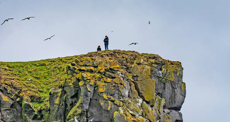 Deux randonneurs se tiennent au sommet d'une falaise couverte de mousse tandis que des oiseaux marins tournent dans un ciel gris.