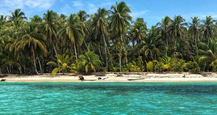 Île tropicale idyllique avec des palmiers et une eau turquoise cristalline