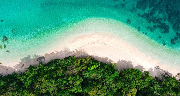 Vue aérienne d'une plage tropicale immaculée avec une eau turquoise et une forêt verte luxuriante