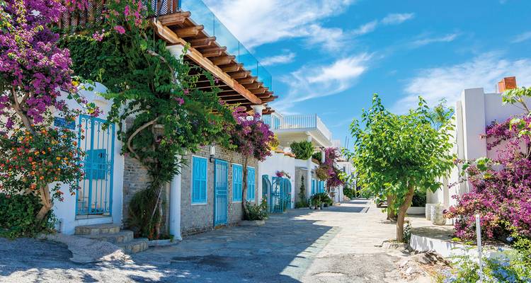 Narrow Greek island lane lined with white houses, bright blue doors and blooming bougainvillea under a clear sky.