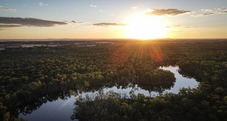 Drone view of a winding river reflecting the setting sun over dense Australian bushland.