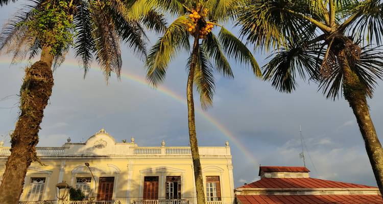 A rainbow arches above a colonial façade framed by tall palm trees in warm evening light.