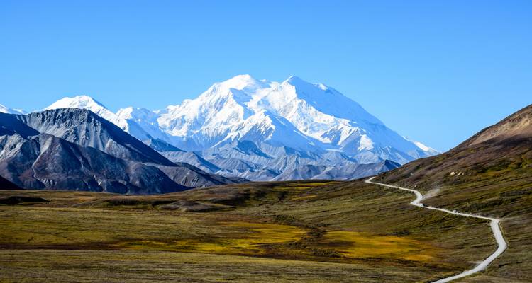 A winding gravel road leads across open tundra to a dramatic view of Denali’s snow-covered peak under a clear blue sky.