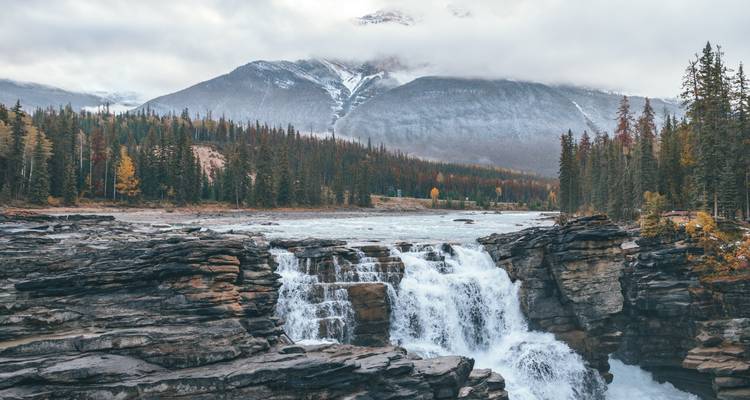 Les chutes Athabasca cascadant à travers les parois escarpées du canyon avec des sommets saupoudrés de neige au-delà.