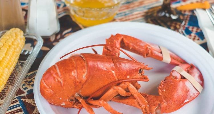 Plate with whole boiled lobster ready to eat, accompanied by melted butter and corn.