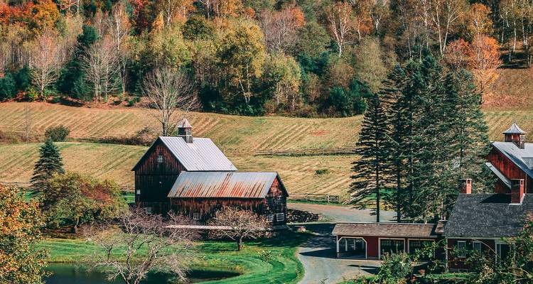 Classic red-roofed barns and autumn foliage on a rolling Vermont farm landscape.