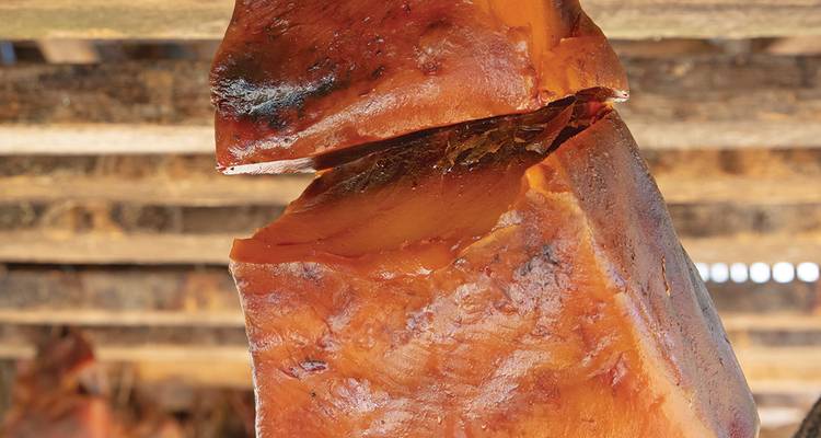 Gros plan de viande de requin séché suspendue aux poutres en bois d'un hangar islandais
