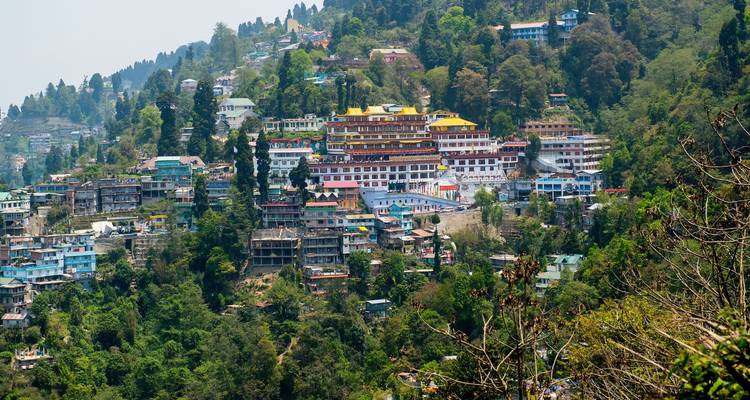 Colorful hillside town sprawls among trees on a steep mountain slope.
